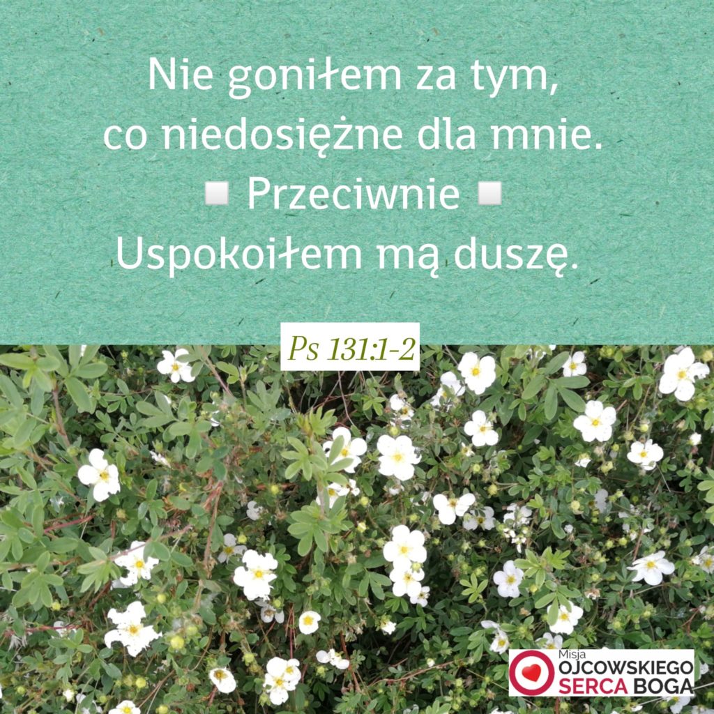 Blog: Uspokoiłem mą duszę